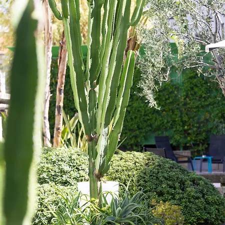 Mercure Centre Notre Dame Nizza