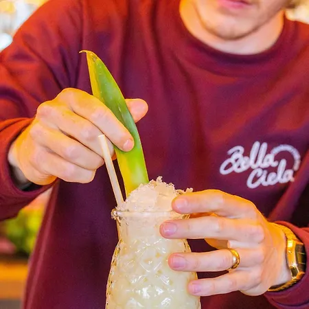 尼斯城中心圣母院美居酒店 尼斯